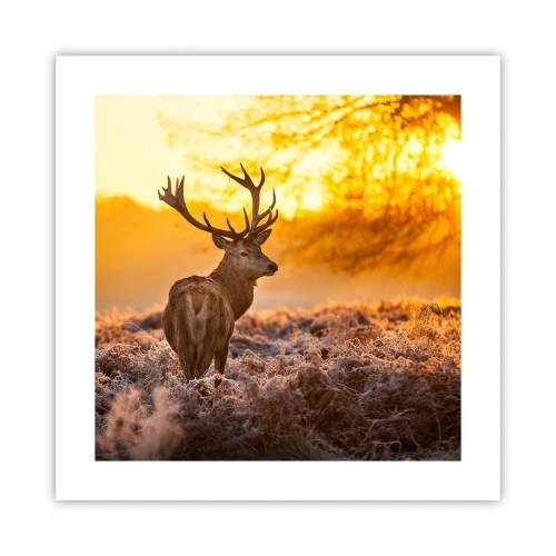 Poster - Regele pădurii de toamnă - 40x40 cm