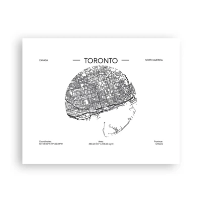 Poster - Anatomia Toronto - 50x40 cm