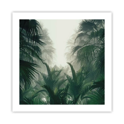 Poster - Mister tropical - 50x50 cm