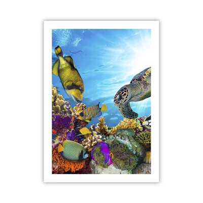 Poster - Promenada de corali - 50x70 cm