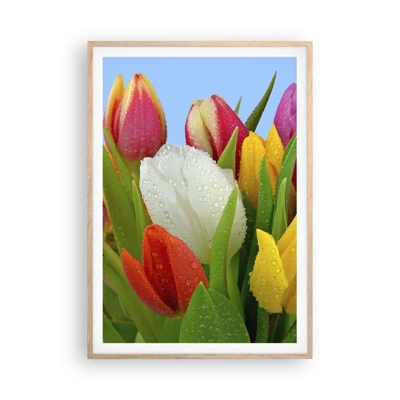 Poster în ramă de stejar deschis - Un curcubeu floral în picături de rouă - 70x100 cm