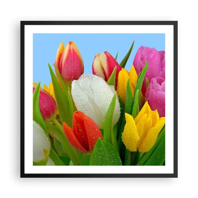 Poster în ramă neagră - Un curcubeu floral în picături de rouă - 60x60 cm