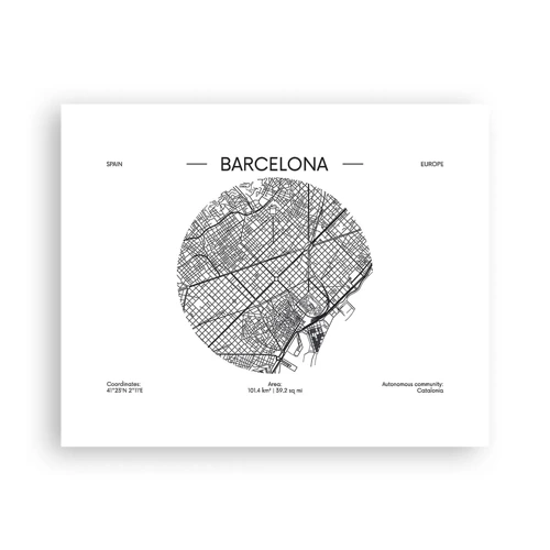 Poster - Anatomia Barcelonei - 50x40 cm