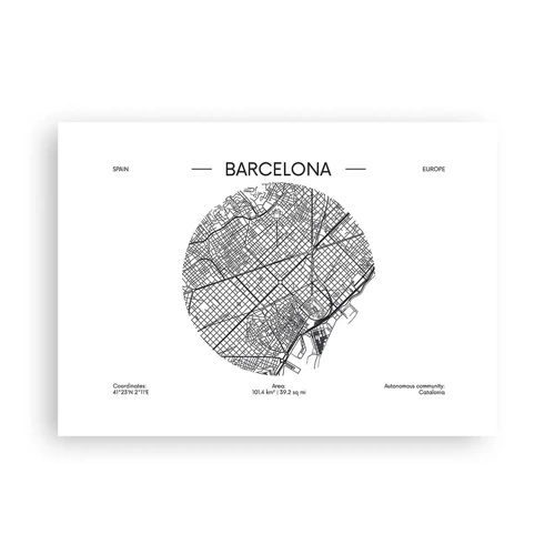 Poster - Anatomia Barcelonei - 70x50 cm