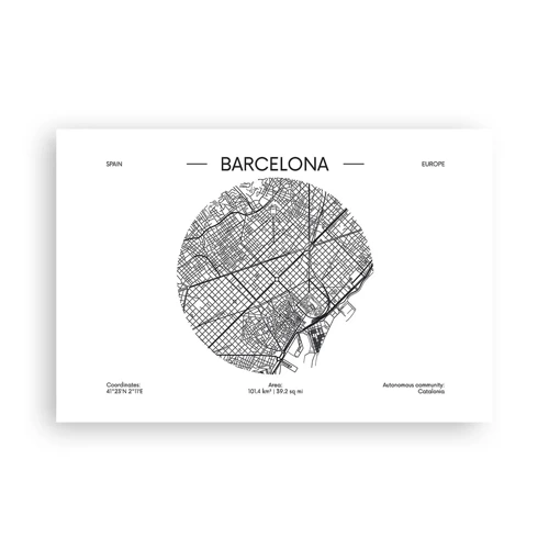 Poster - Anatomia Barcelonei - 91x61 cm