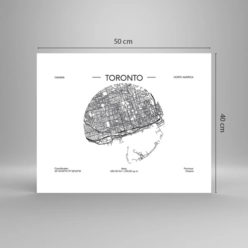 Poster - Anatomia Toronto - 50x40 cm