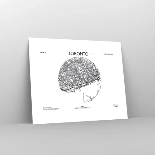 Poster - Anatomia Toronto - 50x40 cm