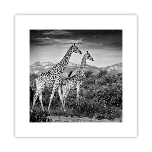 Poster - Clasele superioare din Africa - 30x30 cm