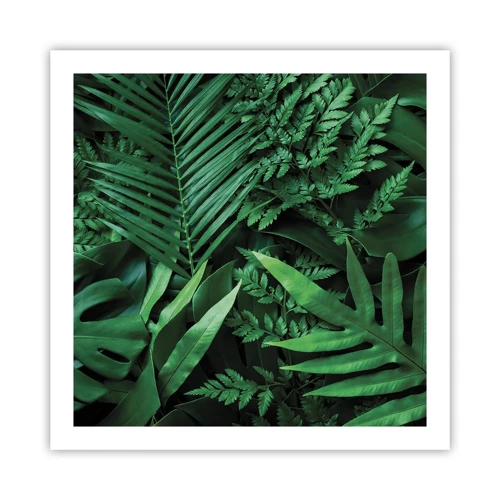 Poster - Înfășurate în verde - 60x60 cm