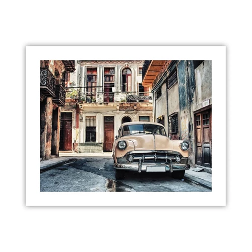 Poster - O siestă în Havana - 50x40 cm