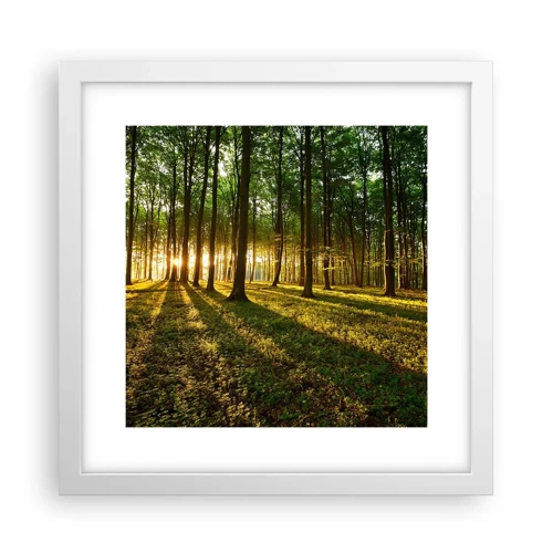 Poster în ramă albă - Fotografia tuturor primăverilor - 30x30 cm