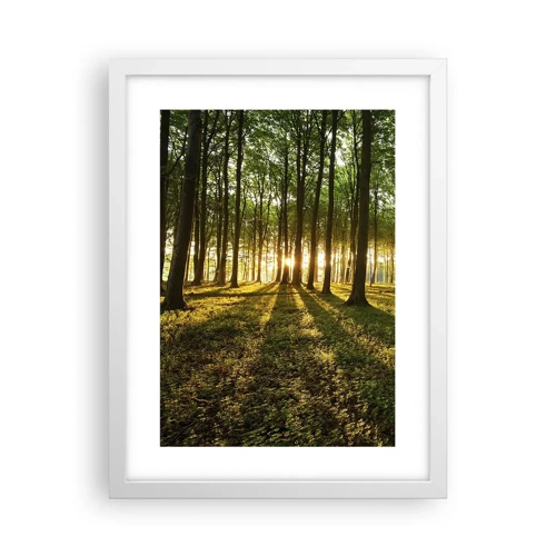 Poster în ramă albă - Fotografia tuturor primăverilor - 30x40 cm