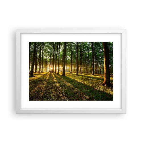 Poster în ramă albă - Fotografia tuturor primăverilor - 40x30 cm