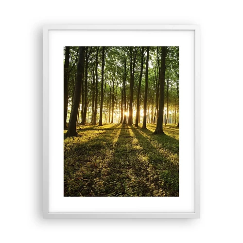 Poster în ramă albă - Fotografia tuturor primăverilor - 40x50 cm