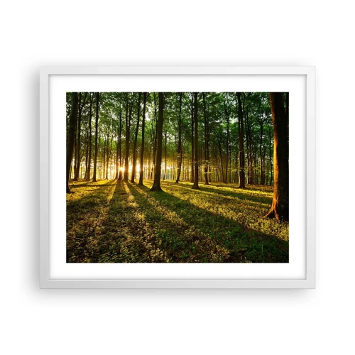 Poster în ramă albă - Fotografia tuturor primăverilor - 50x40 cm