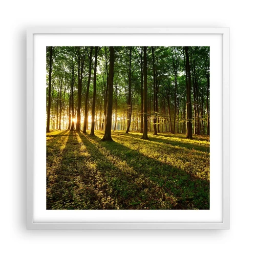 Poster în ramă albă - Fotografia tuturor primăverilor - 50x50 cm