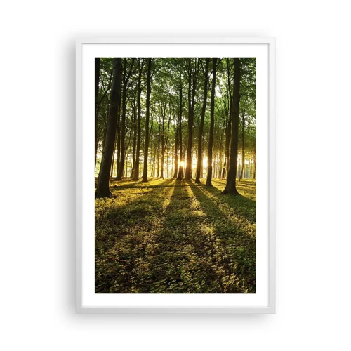 Poster în ramă albă - Fotografia tuturor primăverilor - 50x70 cm