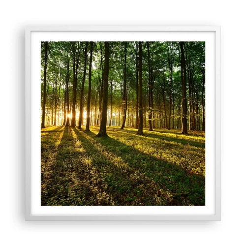 Poster în ramă albă - Fotografia tuturor primăverilor - 60x60 cm