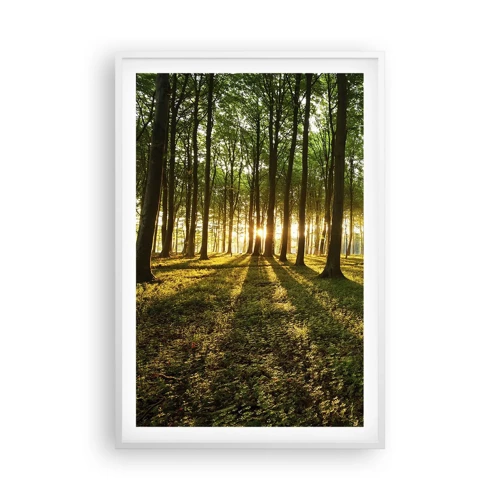 Poster în ramă albă - Fotografia tuturor primăverilor - 61x91 cm