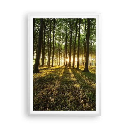 Poster în ramă albă - Fotografia tuturor primăverilor - 70x100 cm