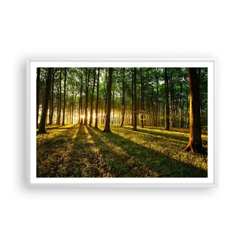 Poster în ramă albă - Fotografia tuturor primăverilor - 91x61 cm