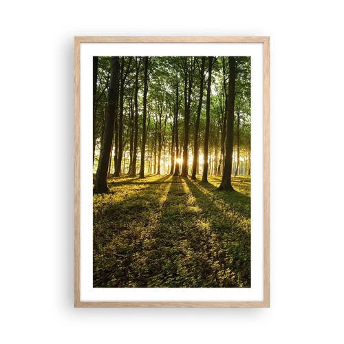 Poster în ramă de stejar deschis - Fotografia tuturor primăverilor - 50x70 cm