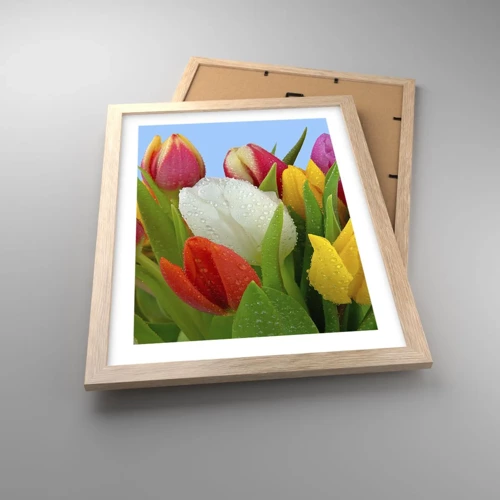 Poster în ramă de stejar deschis - Un curcubeu floral în picături de rouă - 30x40 cm