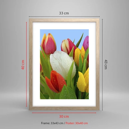 Poster în ramă de stejar deschis - Un curcubeu floral în picături de rouă - 30x40 cm