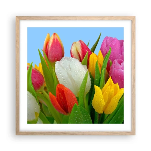 Poster în ramă de stejar deschis - Un curcubeu floral în picături de rouă - 50x50 cm