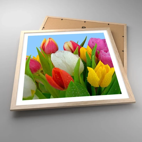 Poster în ramă de stejar deschis - Un curcubeu floral în picături de rouă - 50x50 cm