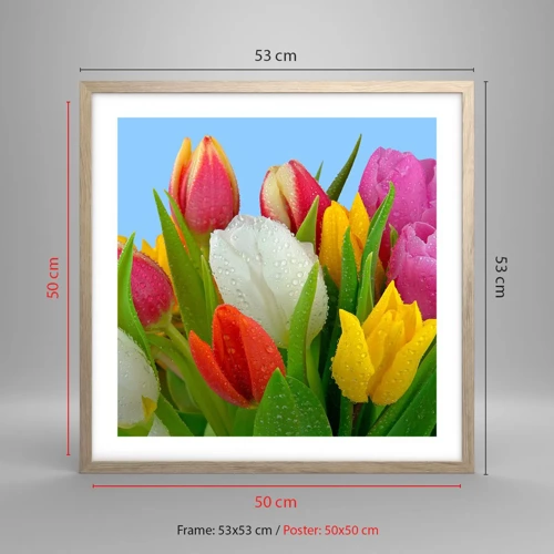 Poster în ramă de stejar deschis - Un curcubeu floral în picături de rouă - 50x50 cm