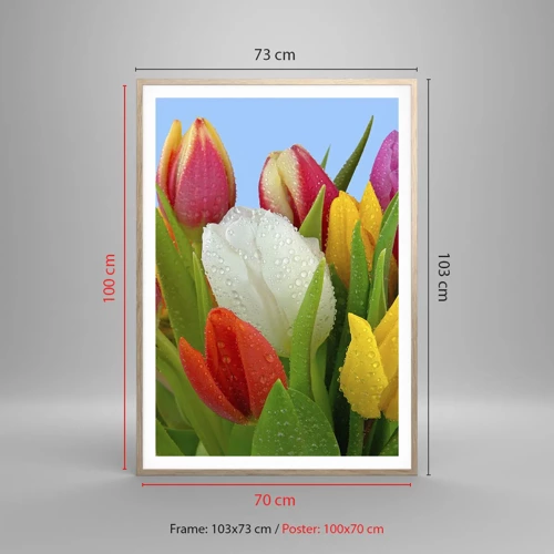 Poster în ramă de stejar deschis - Un curcubeu floral în picături de rouă - 70x100 cm