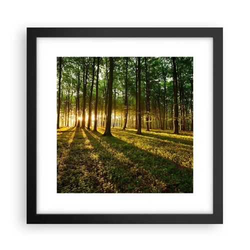 Poster în ramă neagră - Fotografia tuturor primăverilor - 30x30 cm