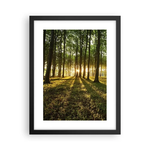 Poster în ramă neagră - Fotografia tuturor primăverilor - 30x40 cm