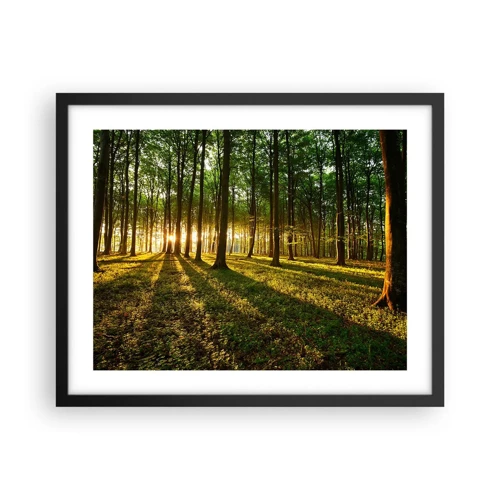 Poster în ramă neagră - Fotografia tuturor primăverilor - 50x40 cm