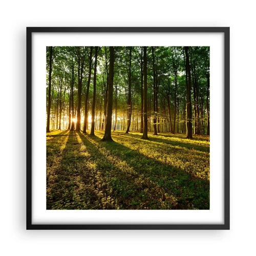 Poster în ramă neagră - Fotografia tuturor primăverilor - 50x50 cm