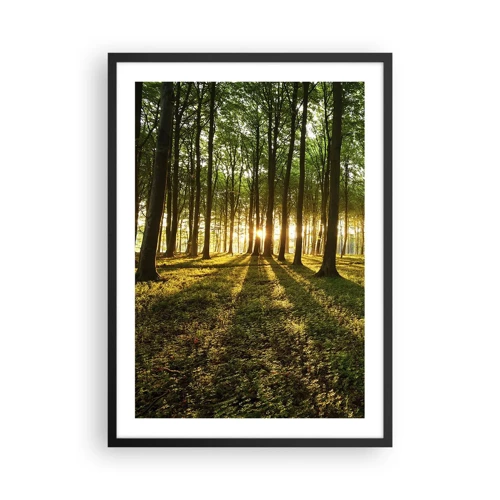 Poster în ramă neagră - Fotografia tuturor primăverilor - 50x70 cm