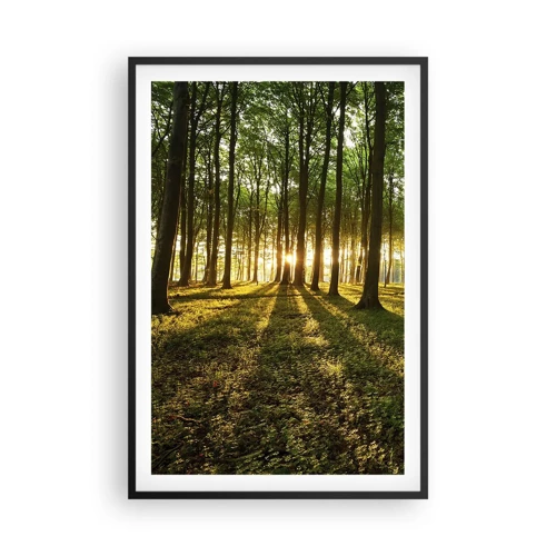 Poster în ramă neagră - Fotografia tuturor primăverilor - 61x91 cm