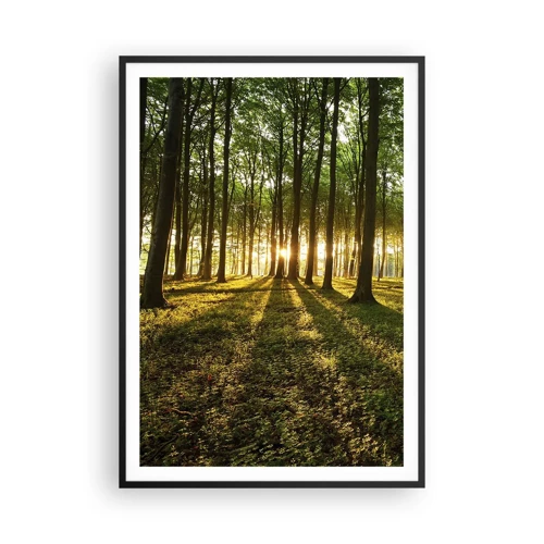 Poster în ramă neagră - Fotografia tuturor primăverilor - 70x100 cm