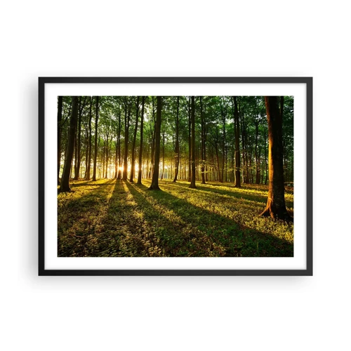 Poster în ramă neagră - Fotografia tuturor primăverilor - 70x50 cm