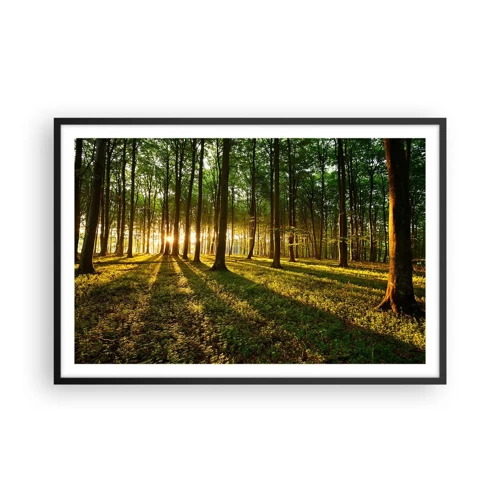 Poster în ramă neagră - Fotografia tuturor primăverilor - 91x61 cm