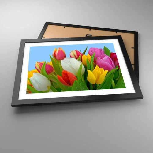 Poster în ramă neagră - Un curcubeu floral în picături de rouă - 40x30 cm