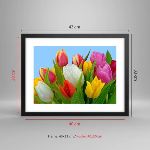 Poster în ramă neagră - Un curcubeu floral în picături de rouă - 40x30 cm