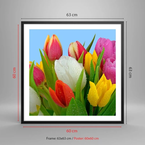 Poster în ramă neagră - Un curcubeu floral în picături de rouă - 60x60 cm