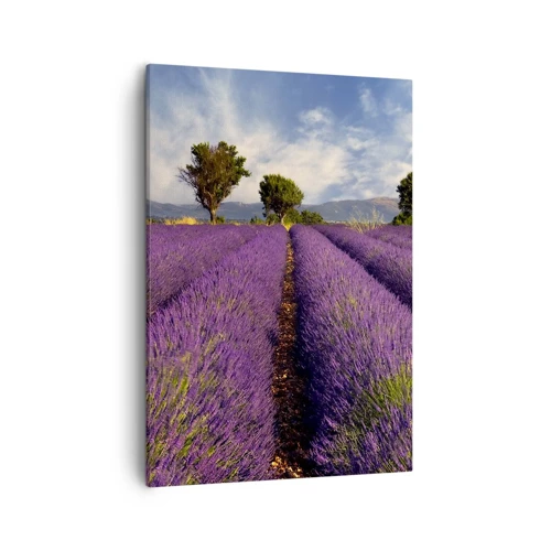 Tablou pe pânză Canvas - Câmpuri de lavandă - 50x70 cm