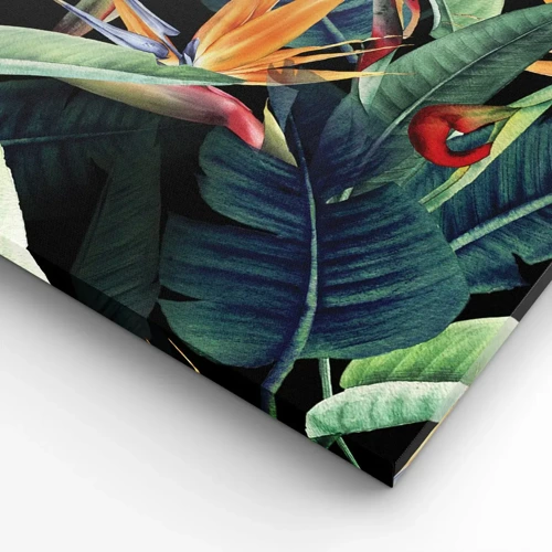 Tablou pe pânză Canvas - Florile de flacără ale tropicelor - 70x50 cm