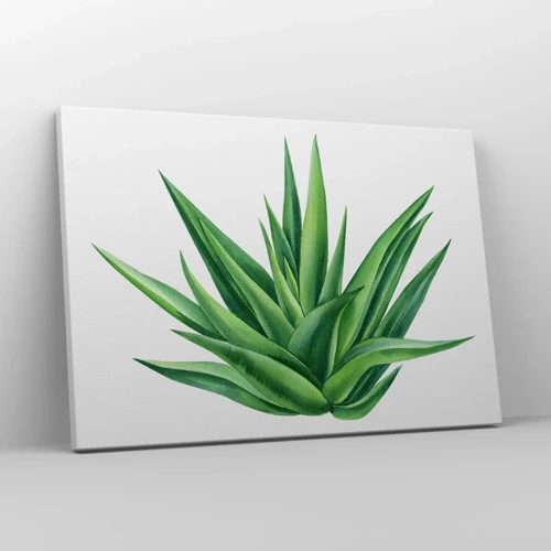 Tablou pe pânză Canvas - Verde - putere - viață - 70x50 cm