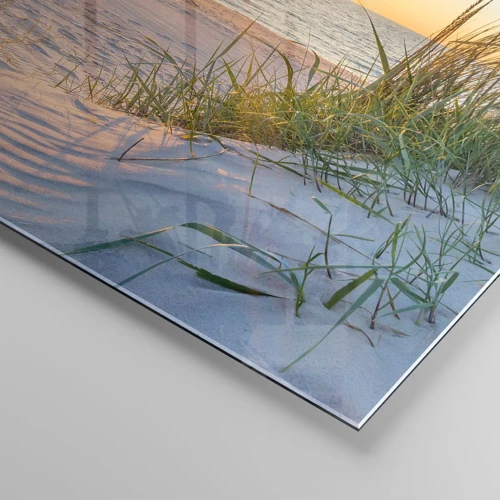 Tablou pe sticlă - Zumzet de mare, o plajă sălbatică printre ierburi... - 30x30 cm