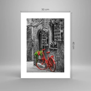 Poster - Alee din Toscana - 30x40 cm