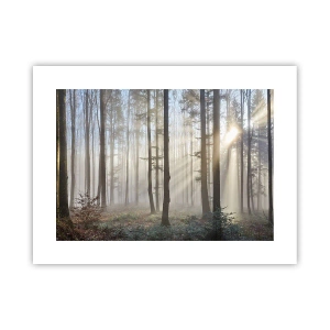 Poster - Ceața s-a trezit și ea - 40x30 cm